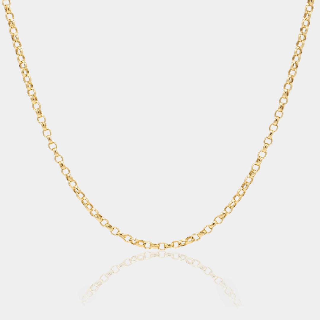 14K Gold Filled Necklaces Rolo Chain Necklace LINK'D THE LABEL