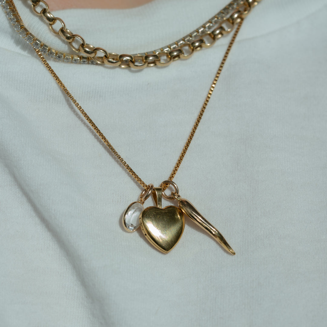 14K Gold Filled Necklaces Cornicello Charm LINK'D THE LABEL