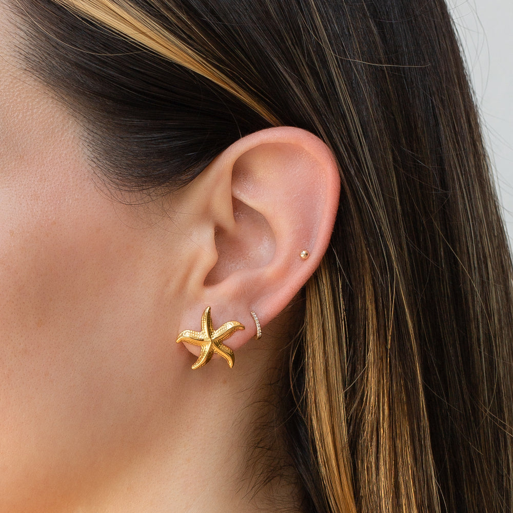 14K Gold Filled Starfish Stud Earrings LINK'D THE LABEL