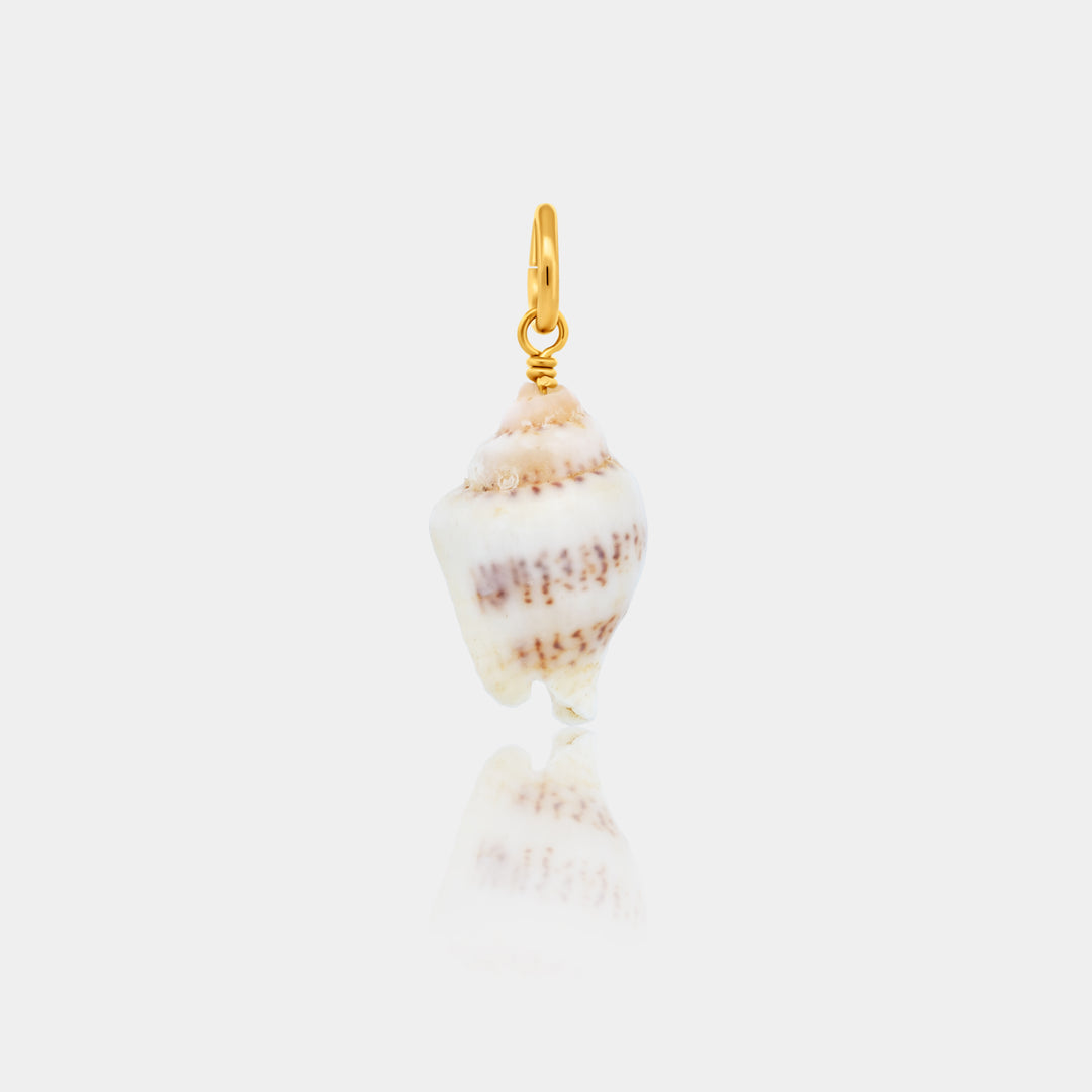 Shell charm with gold accent on a white background
