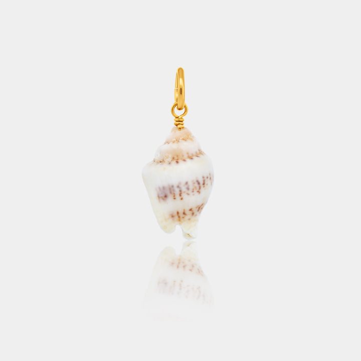 Shell charm with gold accent on a white background