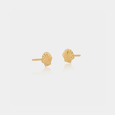 14K Gold Filled Earrings Shell Studs LINK'D THE LABEL